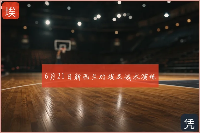 6月21日新西兰对埃及战术演练